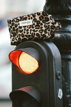 Rivedroite Paris Tournelleslapetitetrousse